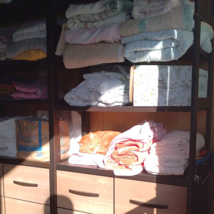 1eceebaf f620 4727 bae4 96d060427de1 1698999887096