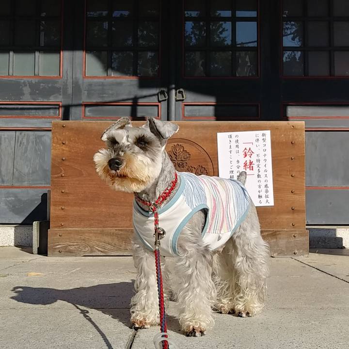 1ecef2ee 841d 418c aa42 e6c38700001c 1587938529567