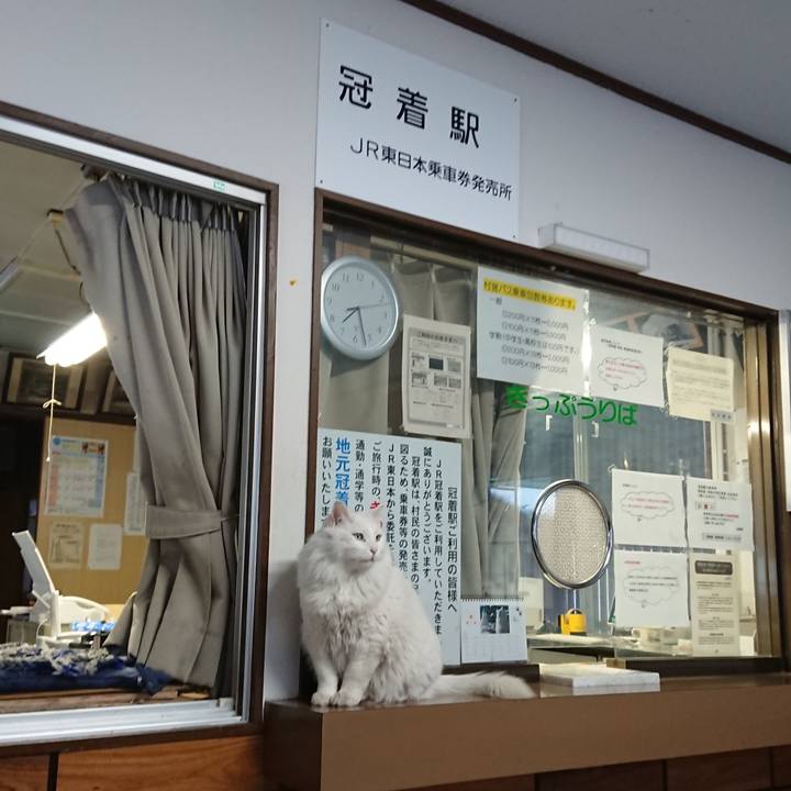 1ecf0e5c 3336 40c1 a5a3 42fd83ef9b07 1549924583540