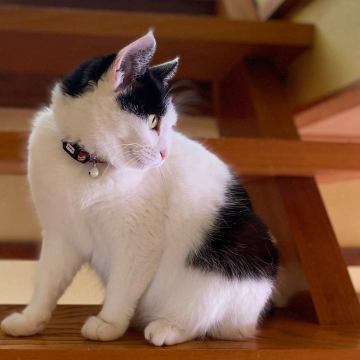 1ecf3050 01b0 4f6f b06c d87f0fdd5133 1649761436915