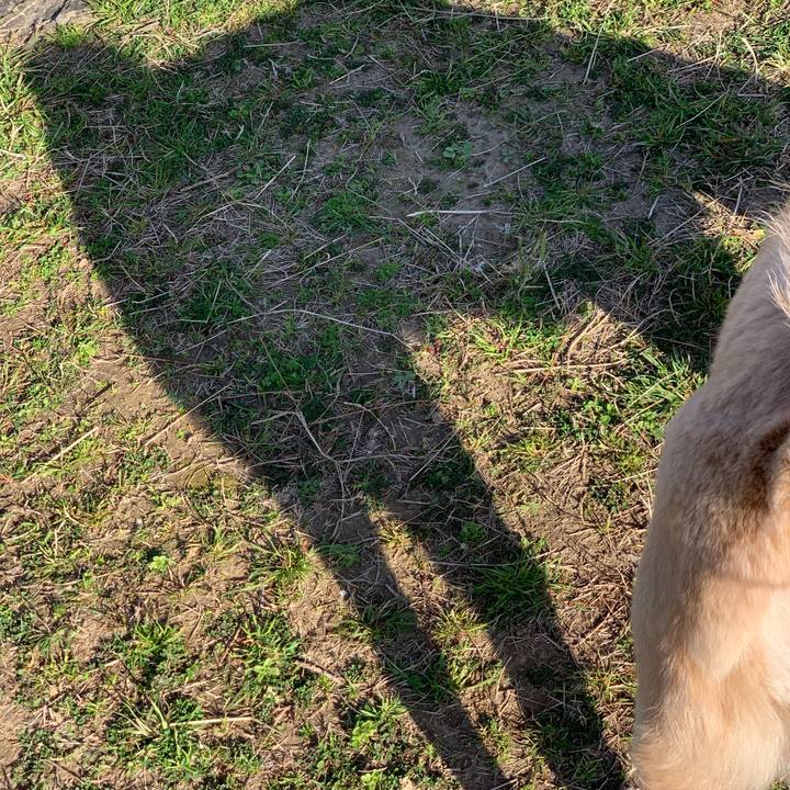 1ecf4ee2 2f82 4331 b71b 65cfe80fd1c6 1553048623841