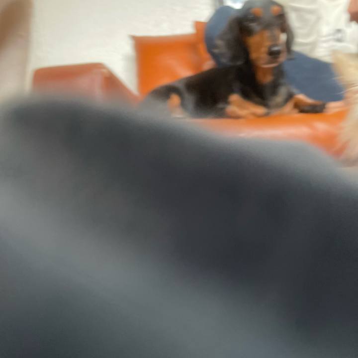 1ecf6ee0 647d 40a9 b88e e55cf20b13c6 1747636985280