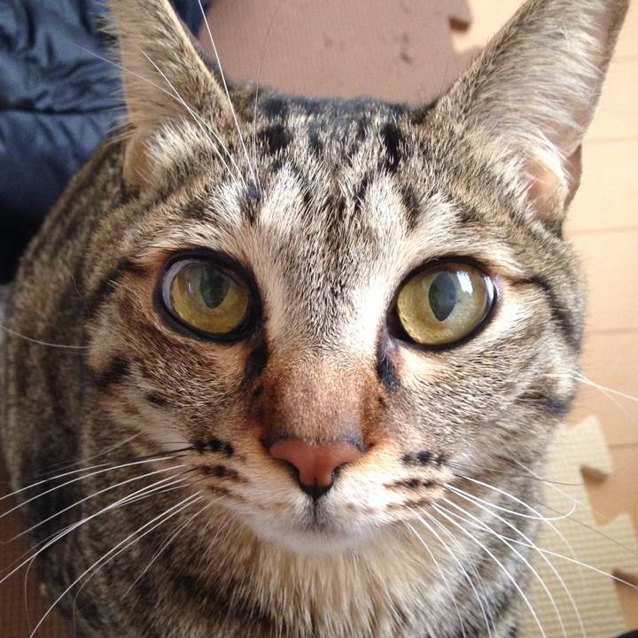 1ecf74c0 ef05 4477 b293 5372911b90d8 1512901854110