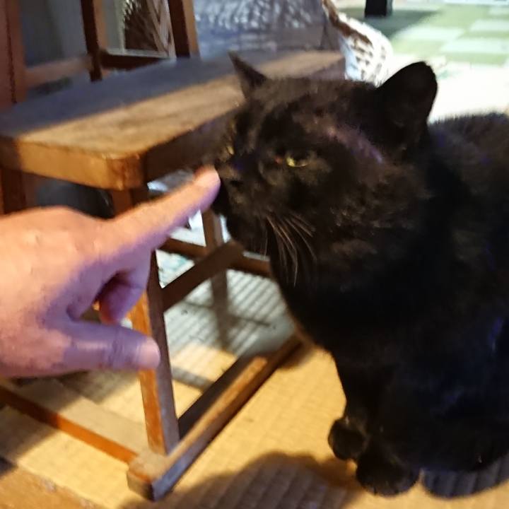 1ecf8c9b 1282 4a32 8ba8 fd53325cf5f5 1617960873438