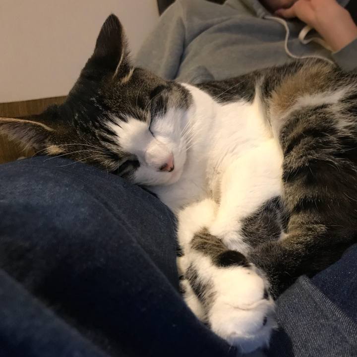 1ecfb10d 8296 492f 9405 5acfa5d66521 1551271601424