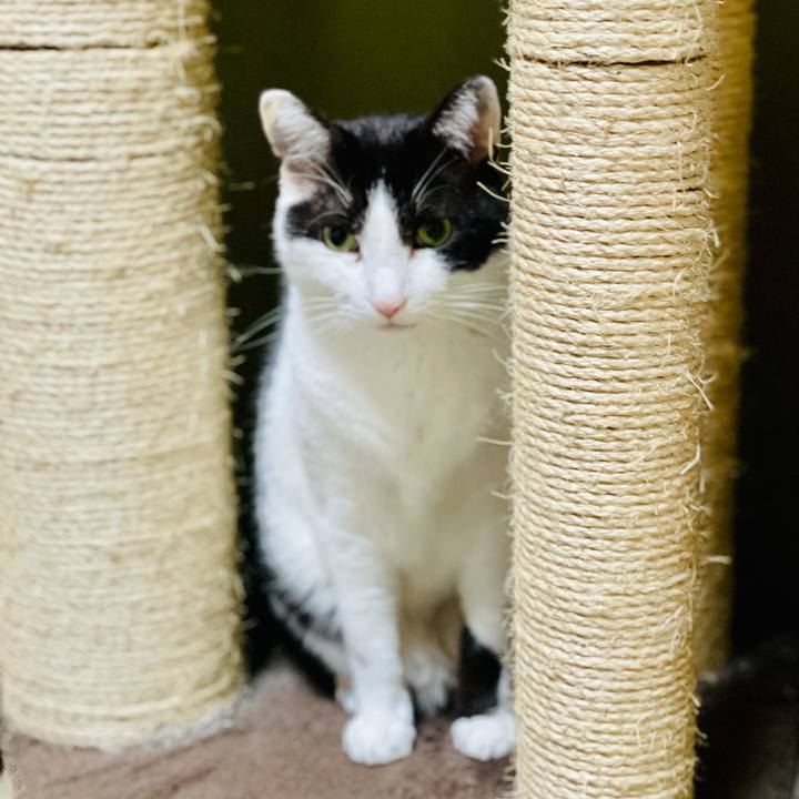 1ecfd4cd 913c 40cc 8393 c45788c4e6bf 1619054592170