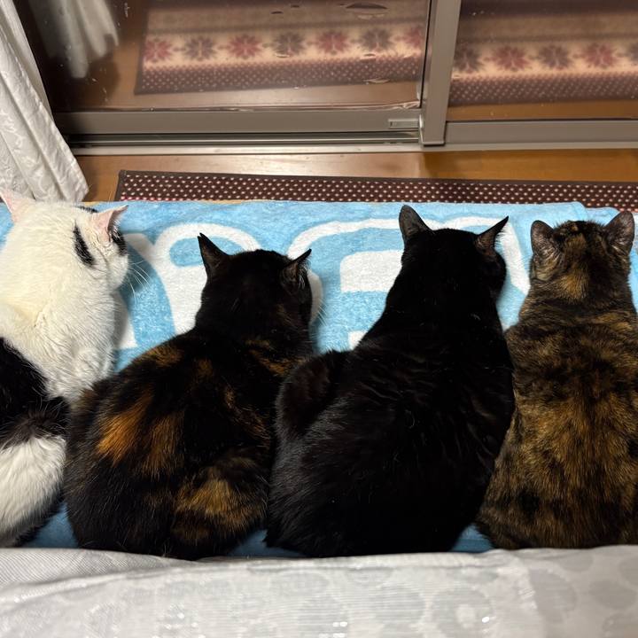 1ecff4b5 568f 4559 b882 10467c1aaa33 1761779543145