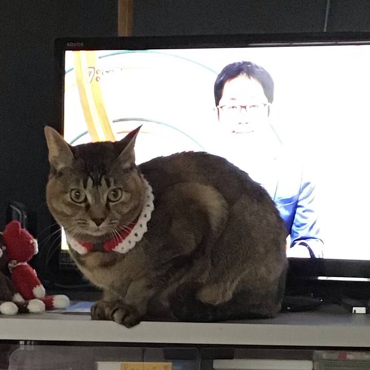 1ed013b1 7ef6 437d 81a9 aa289910cfb4 1609714880023