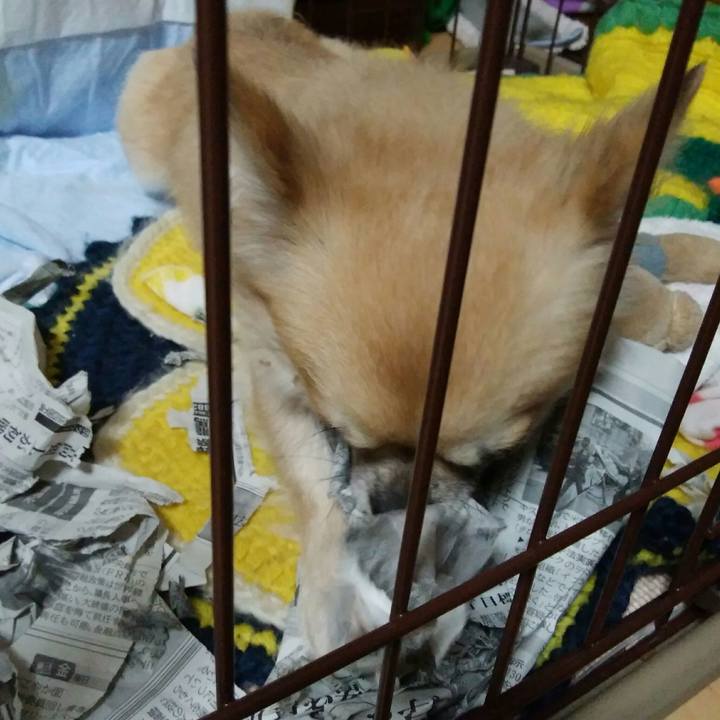 1ed0386b d20c 4062 8f52 a4d622f4fc63 1510047258845