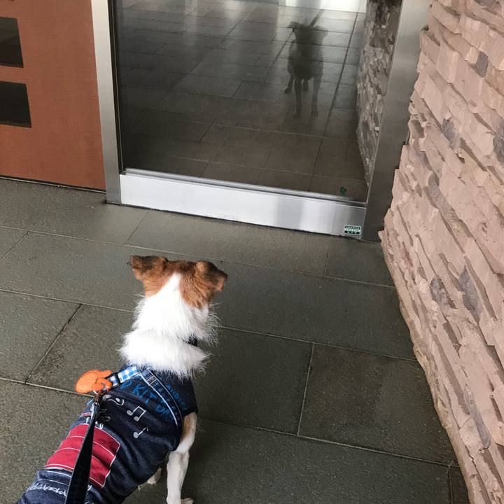 1ed050a1 194f 4012 897f 7dbed45787e9 1536721324946