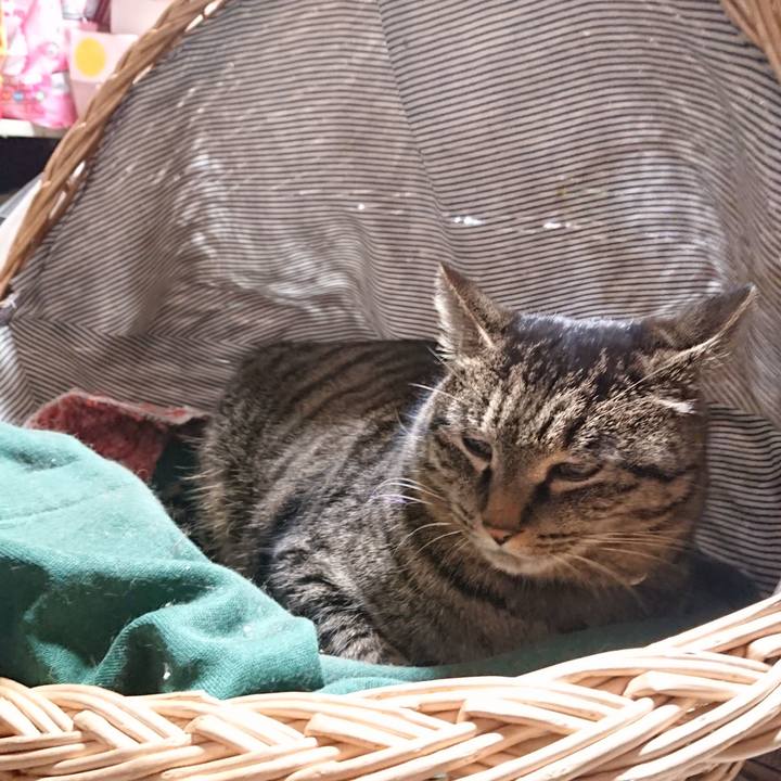 1ed06bdd 7d23 4b70 9aba c59447b718e6 1644064722844