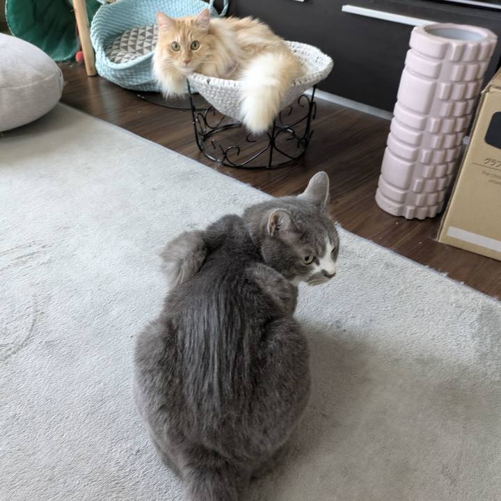 1ed07eab cf80 44ce b3ca 6365dd04c301 1751703201992