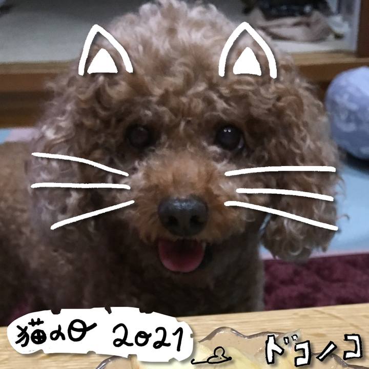 1ed0a29e 7d2c 4641 ade8 d71544c4c4e4 1613991784369