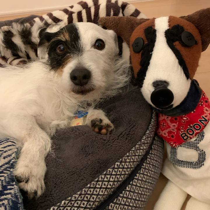 1ed0b45f 2730 4c59 8e35 2137014aa294 1713788121494