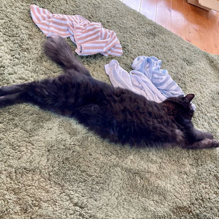 1ed0dc73 2ead 43a0 a407 619b25ad04b7 1716892868109