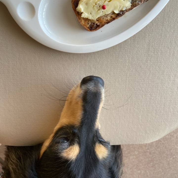 1ed0e63d 2875 4b06 9d4b 7c97c58691d3 1693609520838