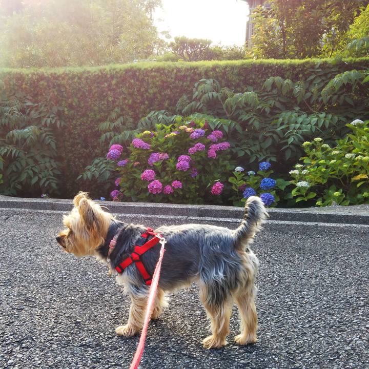 1ed0f9e5 6ef2 4b1e 815f b5cb5a1a5d0a 1655296846644