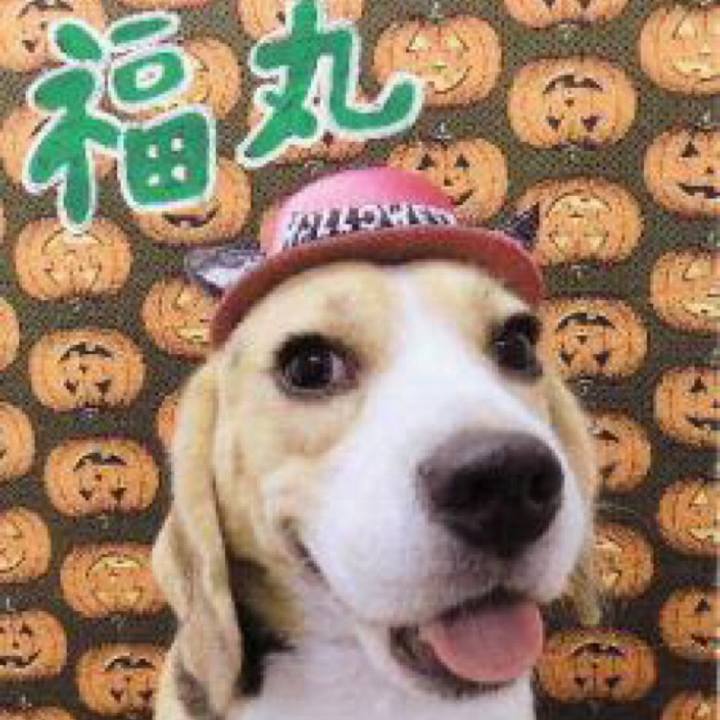 1ed1344a 17ba 42fc 9285 46f08cc0c95d 1730323555046