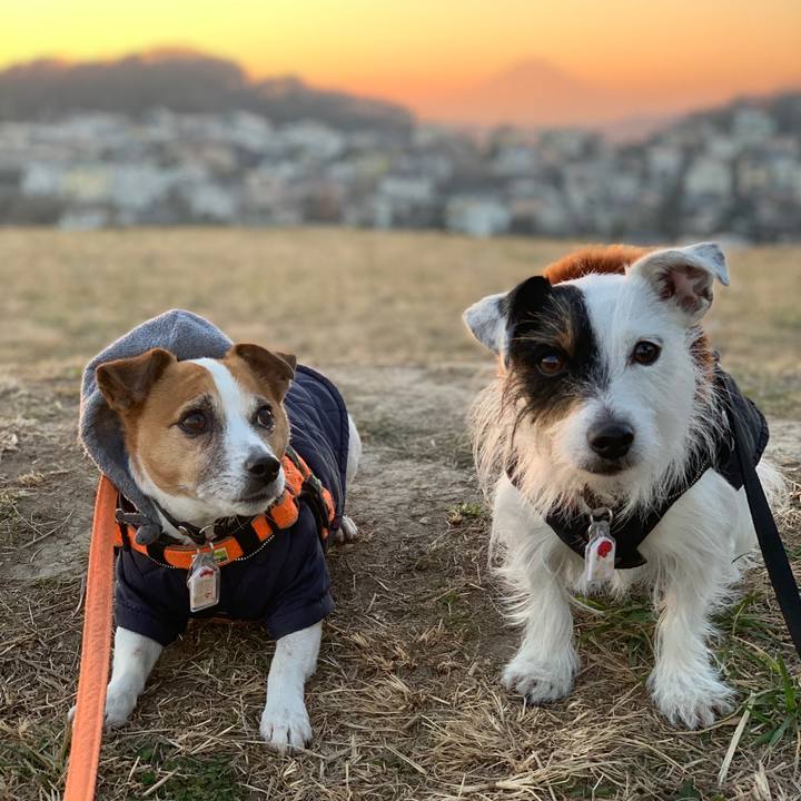 1ed13970 481d 4d58 93ae 935df438aed4 1609143003779