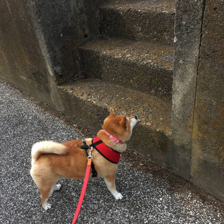 1ed13bf7 6ebd 4f96 9bb4 57953b1e004e 1603861069668