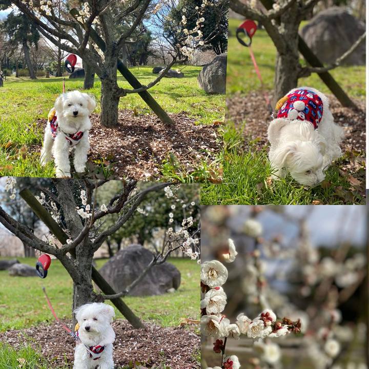 1ed15bd7 97ec 4802 a851 cbe35f612f7f 1677329889287