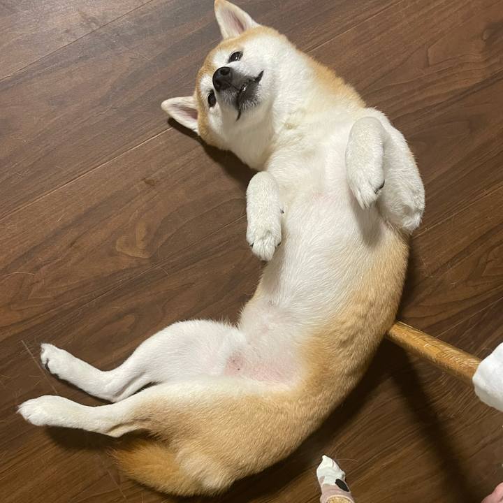 1ed1608b cb78 4f69 b9ee cce9fb801b5c 1699450289143