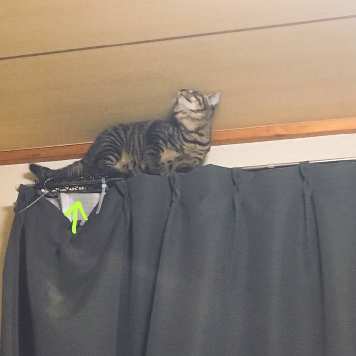 1ed1a624 7c37 4783 93d6 dc29d6e27944 1542980288220