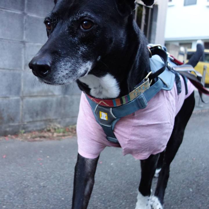 1ed1a65e 1f15 4f33 aff5 7000bd85d22a 1735603846037