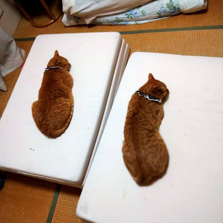 1ed1b488 8aff 4fef a7ad aeed2e61cd08 1599729186755