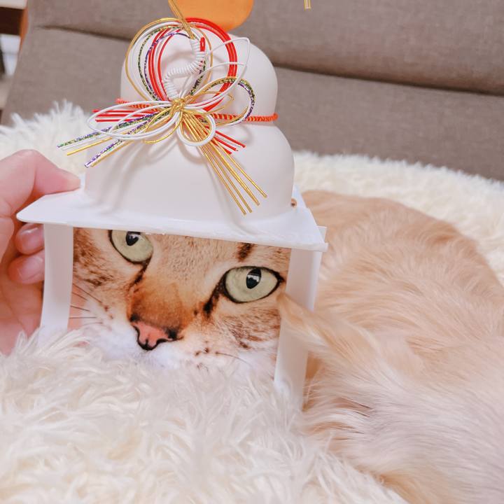 1ed1ecff ec06 4c7f 9d8d 8bb6e0273870 1673440949923