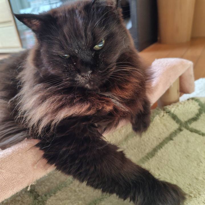 1ed25be9 05fb 4cc6 996f d3481d24c88c 1737243051840