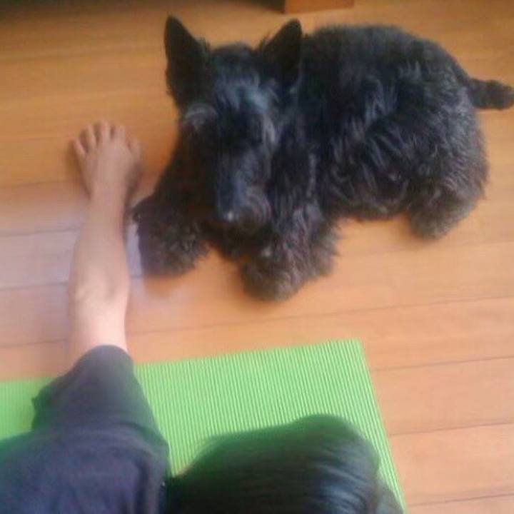 1ed26f59 c7f5 4f9b 9e01 8ac5805a2ece 1604040399758