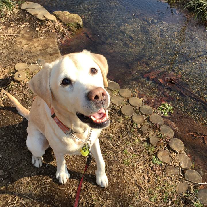 1ed2a215 d364 4b94 b4de b31344113b1b 1518682117732