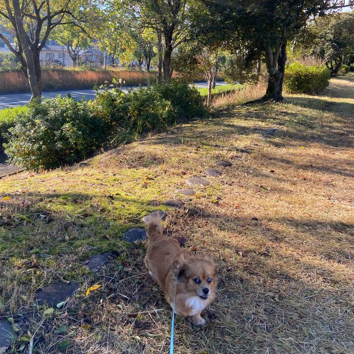 1ed2a90b 3d4d 4931 8e33 870995a4d7e8 1606095782353