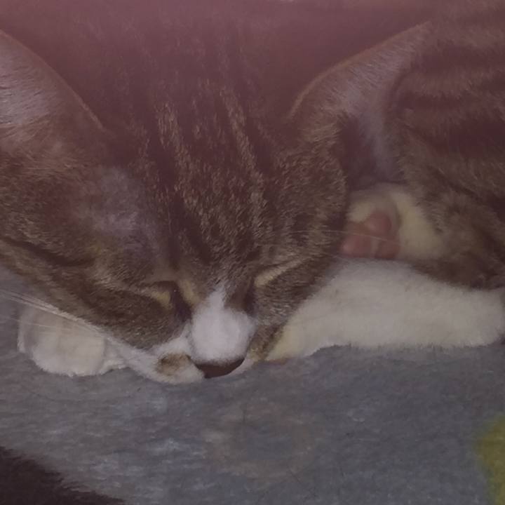 1ed2bedd 3221 4a13 98a4 c7a946687820 1547222638602