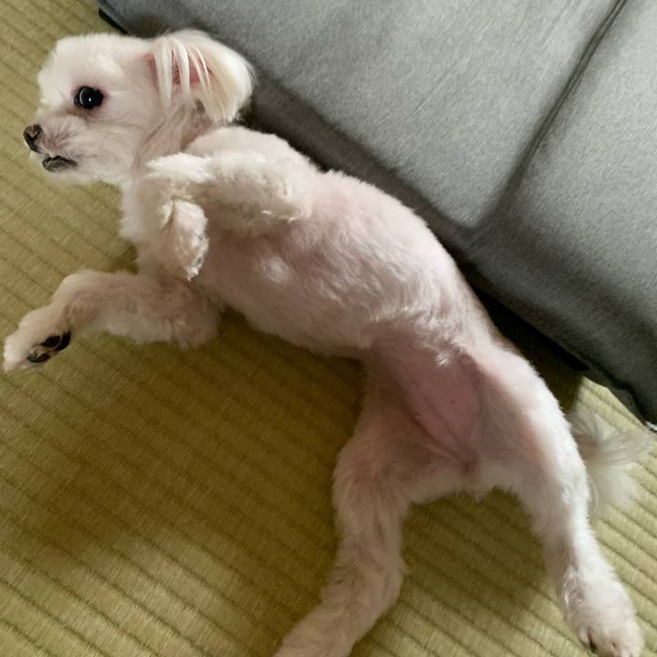 1ed2f314 cc74 447f a0d9 4269f99c665b 1662796174880