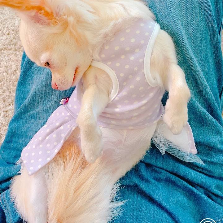 1ed2fbdc 1010 4018 a7dc 5f053c8606fc 1630197756082