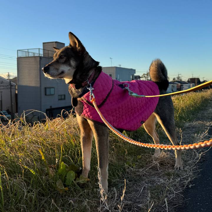 1ed32a13 b9cc 4f91 83c6 110635494929 1768196016079