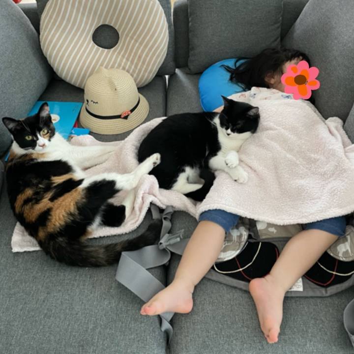 1ed33f89 4c0a 4898 85f0 84eedd9b9020 1654327843875