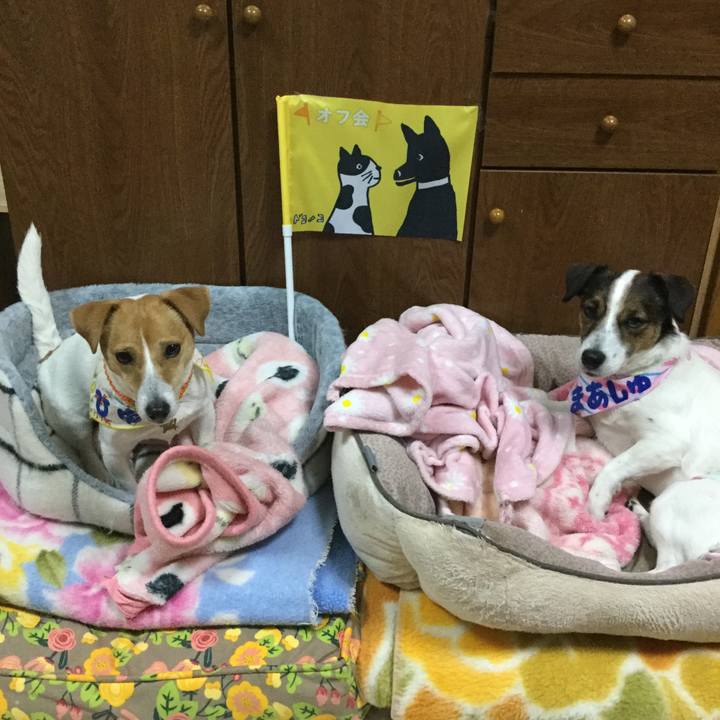 1ed3505d b2a5 4355 a743 5b0ae5698f50 1555230222097