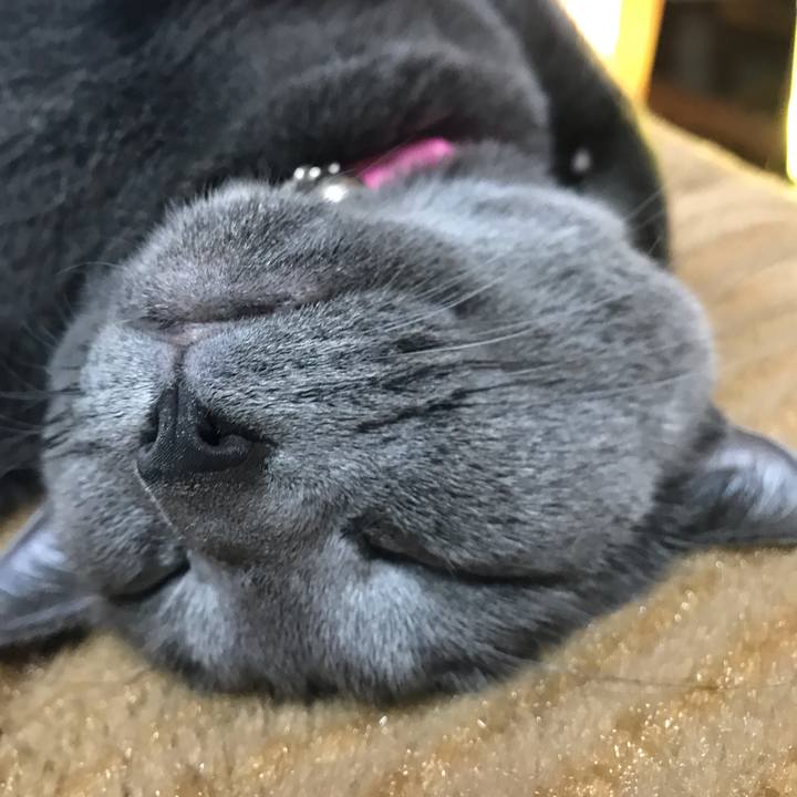 1ed387b3 be3e 4044 ae56 77c7573ba150 1541199941441