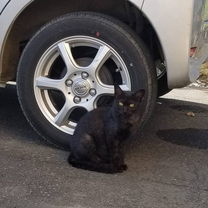 1ed3c837 b176 4bd0 bd97 5386ca9b9f7c 1566913518447