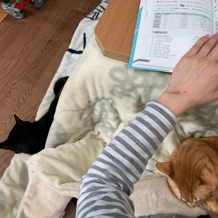 1ed3d12d 7c57 48f9 8c56 b0d8d552be63 1586585207667