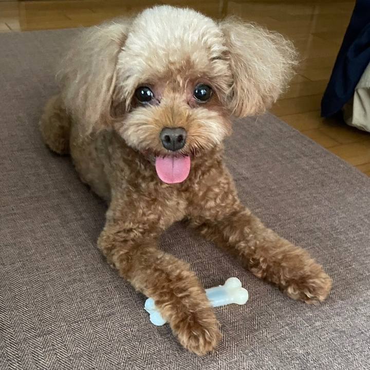 1ed3ea38 e89d 4c8c a33a 8525180b6084 1689564706429