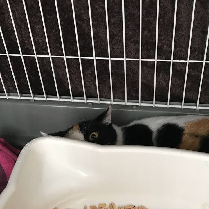 1ed40787 6146 4a3c 83fd 15dc5f7e6f97 1511394643386