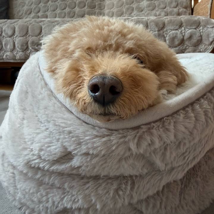 1ed4446e c23f 449a 979a a28d16d3f63f 1764543410876