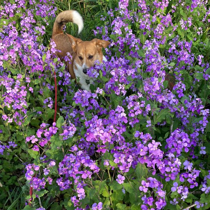 1ed44c5d 8183 49e2 b42b c995c450fbee 1744075132524