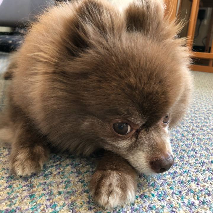 1ed467ec 2a84 4cb1 a796 de475ef049ed 1560638776244