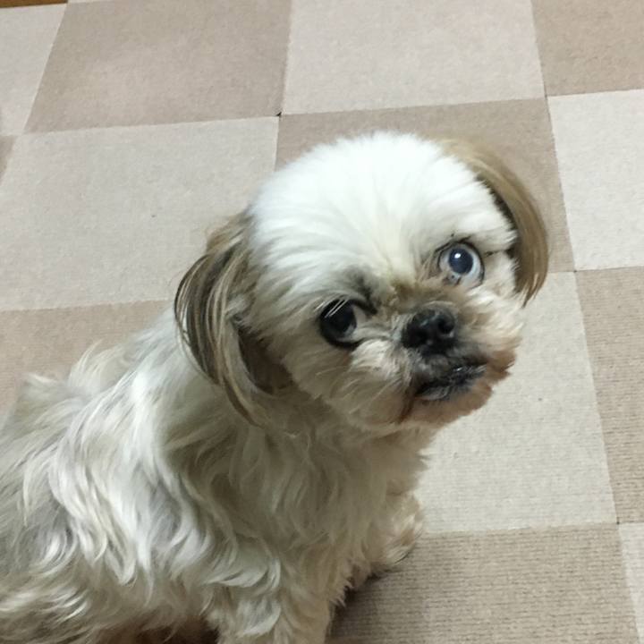 1ed489c0 05a3 45c4 8499 34335d97bd52 1638004510468