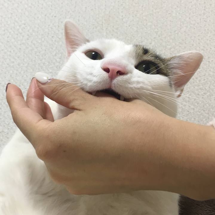 1ed49ceb 817a 4a54 a887 008e81a3088e 1512741711744